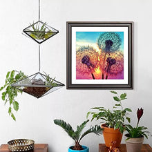 Diamond Painting - Dandelion - 30x30cm - Mosaic Package Adults