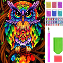 Diamond Painting - Colorful Owl - 30x40cm - Full Package - Round Stones - Mosaic Package Adults