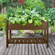 Luxury Growing Table - Brown - Spruce - 80x40x80 (lxwxh) - Growing box on legs - Vegetable garden table - Herb table - Seed box