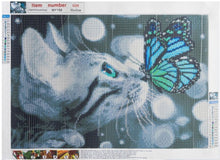 Diamond Painting - Bengaalse Kat En Vlinder - 30x40cm - Volledig Pakket - Ronde Steentjes - Mozaiek Pakket Volwassenen