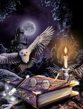 Diamond Painting - Harry Potter Uil - 30x40cm - Volledig Pakket - Ronde Steentjes - Mozaiek Pakket Volwassenen