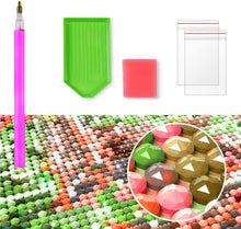 Diamantgemälde – bunte Eule – 30 x 40 cm – Komplettpaket – runde Steine ​​– Mosaikpaket für Erwachsene 