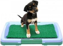 Hundetoilette Kunstrasen – 3 Schichten – 46 x 33 x 6 cm – Welpenunterlagen – Töpfchentraining für Hunde – Trainingsunterlagen für Welpen – Hundematte 
