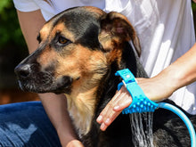 Luxe Hondendouche - Waterblazer Voor Honden - Inclusief slang - Inclusief drie kraanadapters - Geschikt voor binnen en buiten