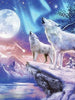 Diamond Painting - Wolves & Northern Lights - 30x40cm - Mozaiek Pakket Volwassenen