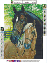 Diamantmalerei – 2 Pferde – 30 x 40 cm – Komplettpaket – runde Steine ​​– Mosaikpaket für Erwachsene 