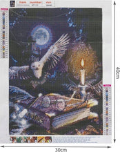 Diamond Painting - Harry Potter Uil - 30x40cm - Volledig Pakket - Ronde Steentjes - Mozaiek Pakket Volwassenen